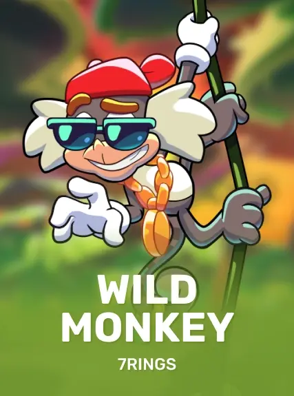 Wild Monkey